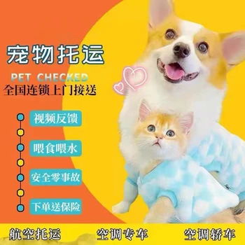 巴音郭楞寵物托運(yùn)物流公司