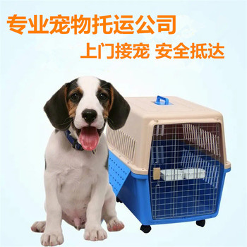 沈陽寵物托運郵寄寵物活體運輸