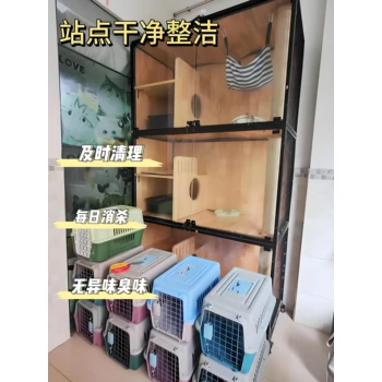 湖北武漢貓咪寵物托運(yùn)專線托運(yùn)