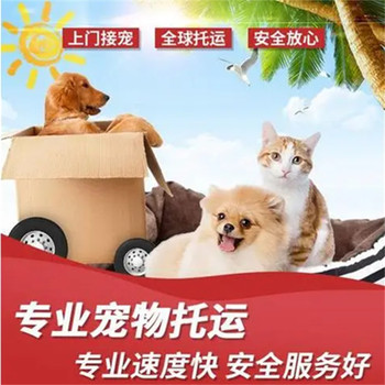 寵物托運）北海寵物狗狗托運汽車帶寵物托運