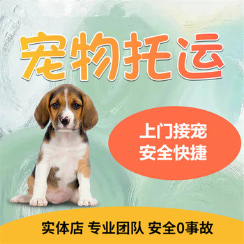 寵物托運）房山寵物出國托運航空寵物運輸