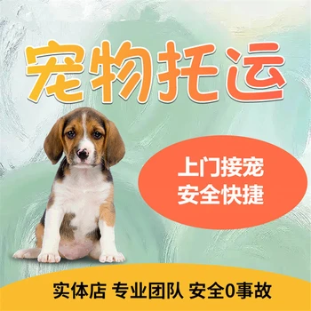 河南安陽(yáng)寵物托運(yùn)專線托運(yùn)
