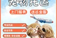 寵物貓運(yùn)輸專車:阿拉善盟寵物托運(yùn)郵寄寵物托運(yùn)運(yùn)輸