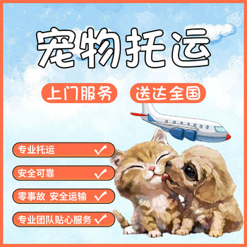 沈陽(yáng)寵物托運(yùn)郵寄寵物活體運(yùn)輸