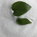 濟(jì)寧三元氯化銨白色晶體粉末氯化銨國(guó)標(biāo)氯化銨現(xiàn)貨