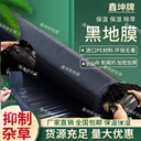 黑地膜農(nóng)用地膜農(nóng)用多功能黑膜可定制打孔黑膜農(nóng)膜地膜