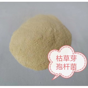 微生物菌種廠家枯草芽孢桿菌25公斤包裝