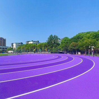 漳州塑膠跑道施工_泉州籃球場施工_南平足球場地坪