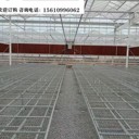 移動苗床在花卉產(chǎn)業(yè)中的應用與推廣