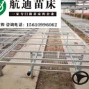 移動(dòng)苗床技術(shù)創(chuàng)新：輕松實(shí)現(xiàn)溫室大棚內(nèi)作物布局優(yōu)化