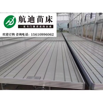 綠色灌溉新體驗：潮汐苗床如何簡化育苗過程