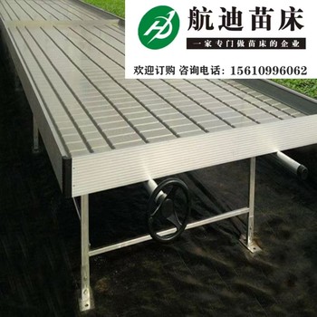 潮汐苗床灌溉：打造智能、便捷的育苗環境