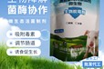 生物脫霉劑降解霉菌吸附毒素誘食促生長