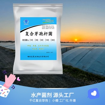 水產(chǎn)復(fù)合芽孢桿菌降解氨氮亞鹽工廠直發(fā)