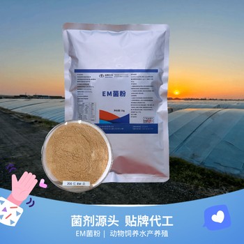 EM菌粉200億含量魚蝦蟹海參等養(yǎng)殖凈化水質(zhì)
