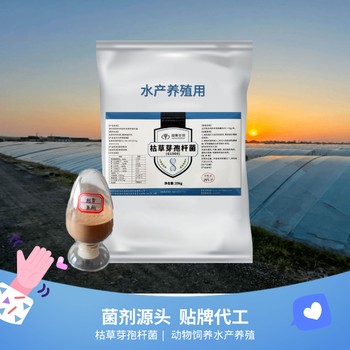 源頭工廠批發(fā)代工枯草芽孢桿菌原粉液體