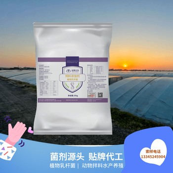 飼料添加劑工廠供應(yīng)植物乳桿菌預(yù)防腸道問(wèn)題提高飼料利用率