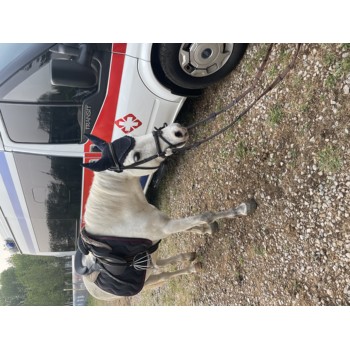 嘉興潤興救護車出院送病人病人長途跨省服務當地派車