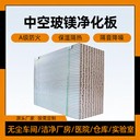 夾芯彩鋼板巖棉吊頂板巖棉彩鋼板實(shí)驗(yàn)室食品廠電子廠廠房隔墻吊頂