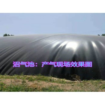 土工膜生產(chǎn)廠家防滲膜生產(chǎn)廠家防滲土工膜生產(chǎn)廠家