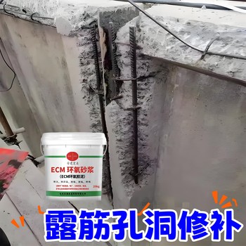 呼倫貝爾環(huán)氧修補砂漿生產(chǎn)廠(chǎng)家