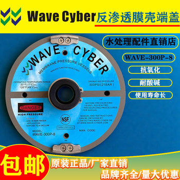 WAVECYBER膜殼端蓋1000PSI水處理設(shè)備玻璃鋼壓力容器