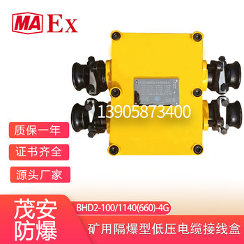 100A煤矿用接线盒BHD2-100/1140(660)-4G