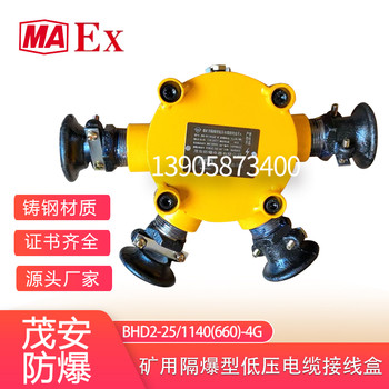 茂安40A4通铸钢接线盒BHD2-40/1140(660)-4G