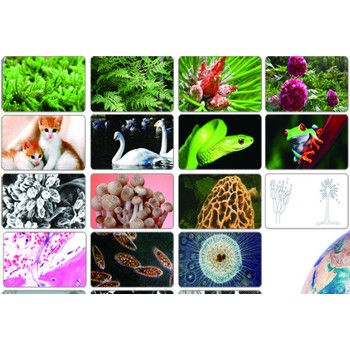 生物品種品種真實(shí)性檢測(cè)機(jī)構(gòu)——CMA/CNAS資質(zhì)檢測(cè)