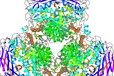醫(yī)用重組蛋白純度檢測機構(gòu)——CMA/CNAS資質(zhì)檢測