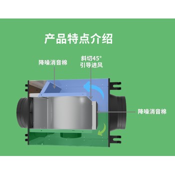 雙速靜音送風(fēng)機DPT10-12BS北京管道式排風(fēng)機高低檔調(diào)節(jié)