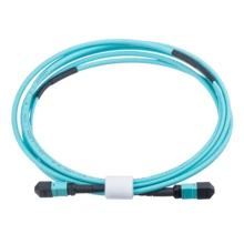 MPO-MPO光纖跳線12芯多模廠商代理