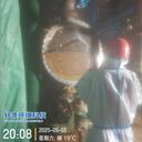 安徽亳州本地換熱器清洗公司