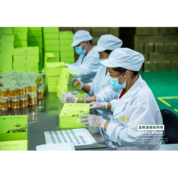 元寶楓籽油軟膠囊OEM代加工/云南金楓生物一站式服務(wù)軟膠囊貼牌