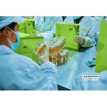 元寶楓籽油軟膠囊OEM代加工/云南金楓生物一站式服務(wù)軟膠囊貼牌