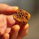 阿根廷牛黃進(jìn)口流程報(bào)關(guān)報(bào)檢
