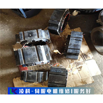 海德伺服電機(jī)有異響維修缺相