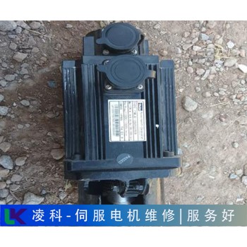 德國倫茨Lenze伺服電機有異響維修竄動現(xiàn)象
