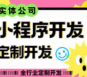 南昌小程序應(yīng)用開發(fā)品牌網(wǎng)站建設(shè)全場景APP軟件定制開發(fā)服務(wù)
