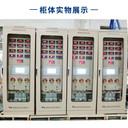 供應國科Wk2000水電站測溫測速制動屏監(jiān)控系統(tǒng)設(shè)備安裝一體