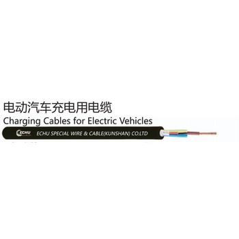 易初電動汽車充電用電纜
