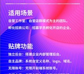 牛貝ozon跟賣鋪貨erp貼牌定制