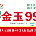 國審玉米新品種高產(chǎn)玉米種子金玉99