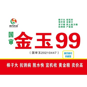 國審玉米新品種高產(chǎn)玉米種子金玉99