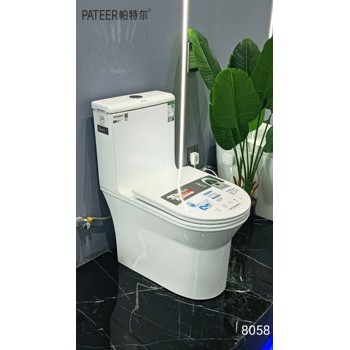 廣東帕特爾馬桶廠家單孔馬桶8058