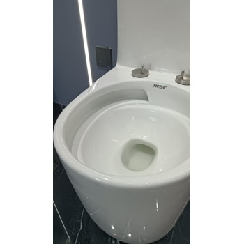 廣東馬桶廠家帕特爾水箱施釉馬桶8062