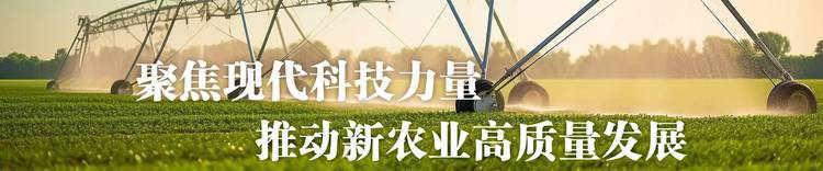 1745900-4.jpg@750w_750h_90Q