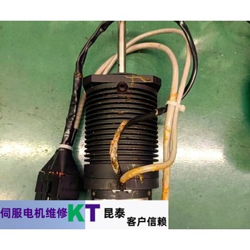 蘇強伺服電機不轉維修經驗總結