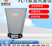 觸屏數顯風量儀FLY-1S