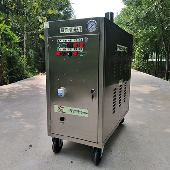 門(mén)店洗車(chē)機設備闖王CWR09A蒸汽洗車(chē)機廠(chǎng)家